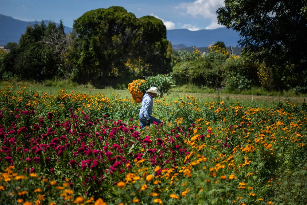 Atlixco De Las Flores