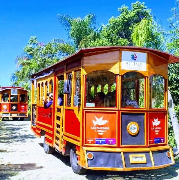 Imagen del negocio Recorridos Turísticos La Vitorina